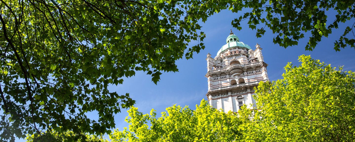 The Queen's Tower, seen through a canopy of trees