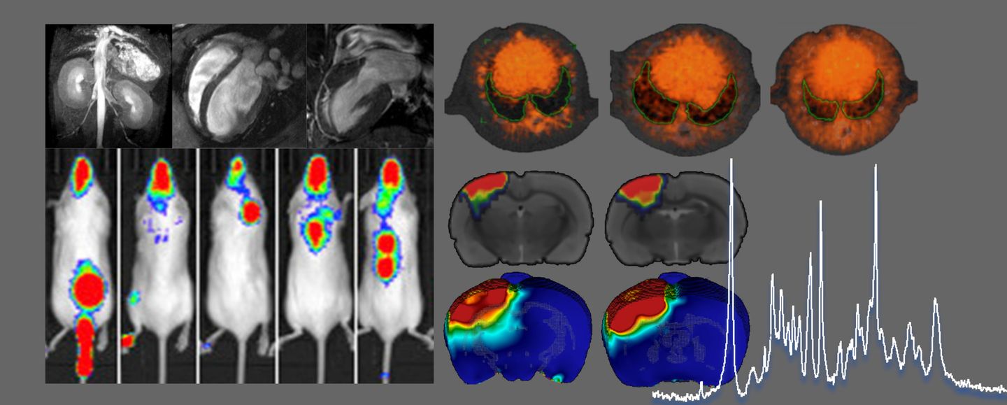 Biological Imaging Centre