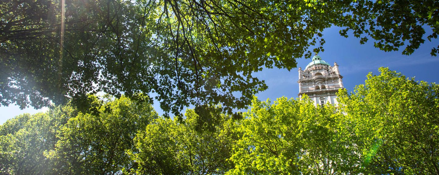 Queens tower during summer