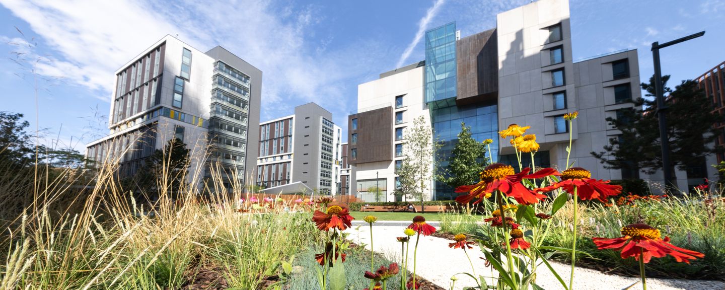 A photo of the White City campus in the late summer sun,