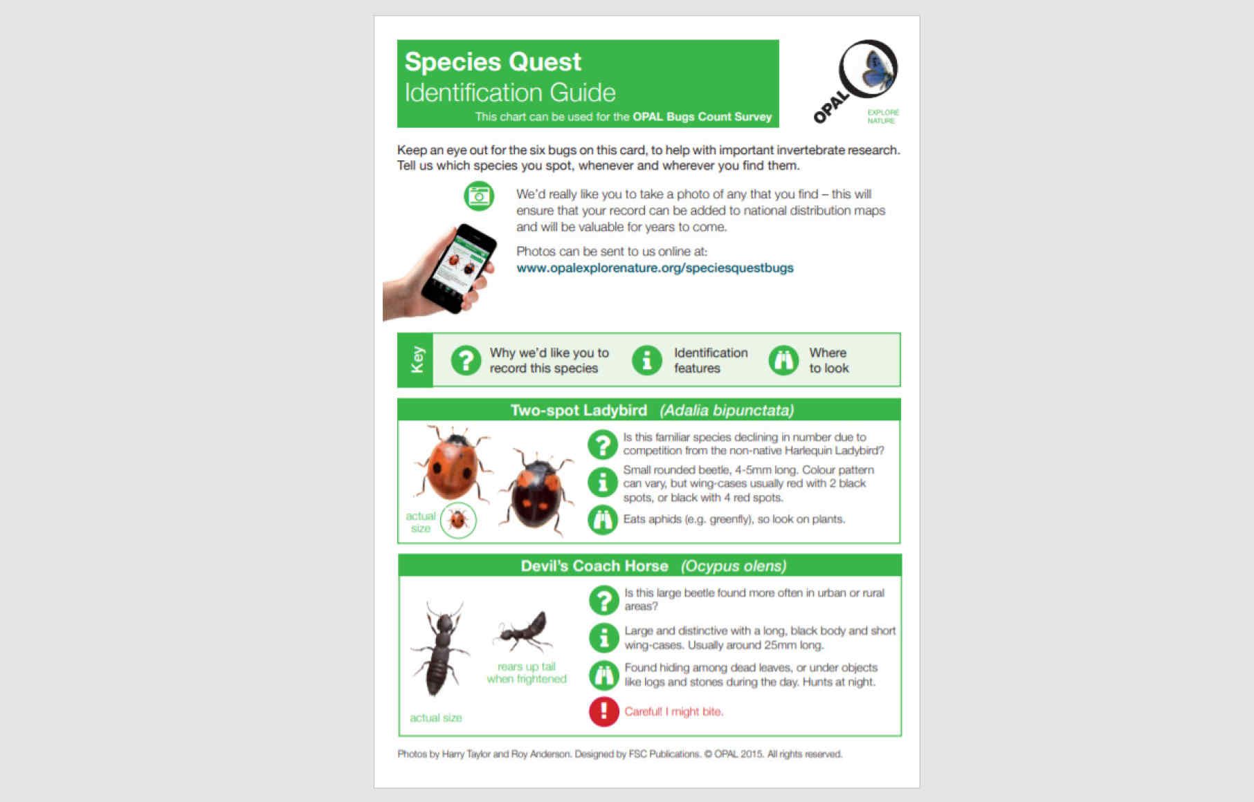 Bugs Count Survey | Research groups | Imperial College London