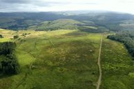 An aerial view of peatlands