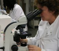 A researcher using a microscope in the lab