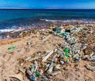 Beach littered with plastic pollution