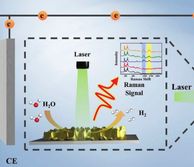 Electrocatalysis