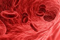 Rendering of red blood cells flowing