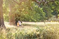 beekeeper in silwood park field