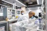 A scientist looks through a microscope in The Environmental Research Group in the Sir Michael Uren Hub.