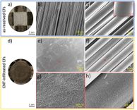 CNT-infiltrated CF