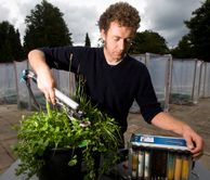 A image of a researcher measuring plant physiology characteristics