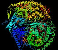 misfolded protein