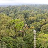 environment and sustainability