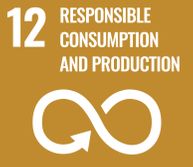 SDG 12 Responsible consumption and production