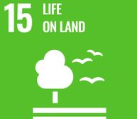 SDG 15 Life on land