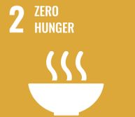 SDG 2