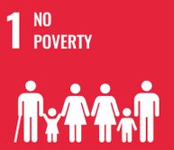 SDG 1