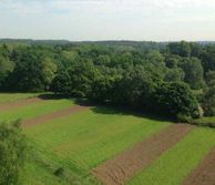 field experiments
