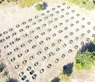 mesocosms