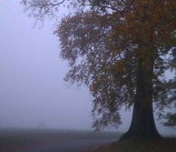 weather 