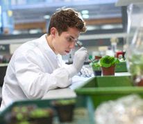  A Life Sciences student working in the lab