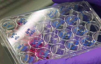 Life Sciences lab