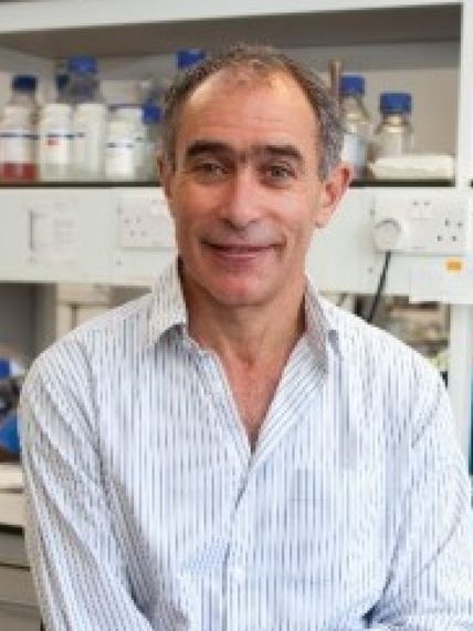 Professor Michael Levin