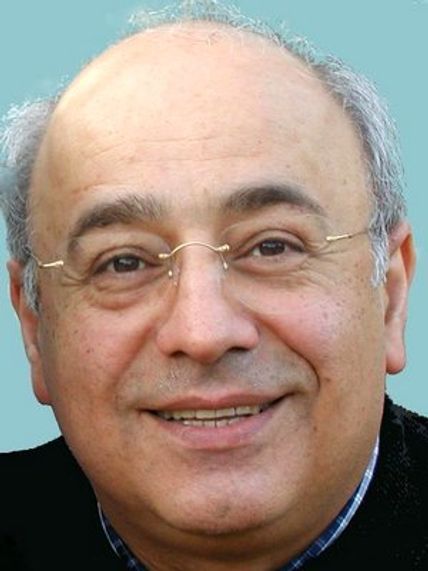 Professor Farzin Farzaneh