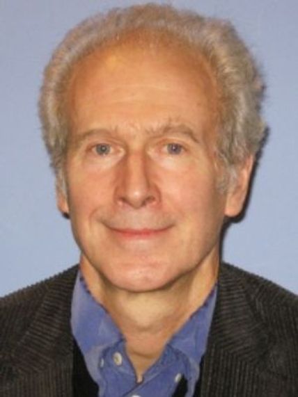 Professor Nicholas Bingham