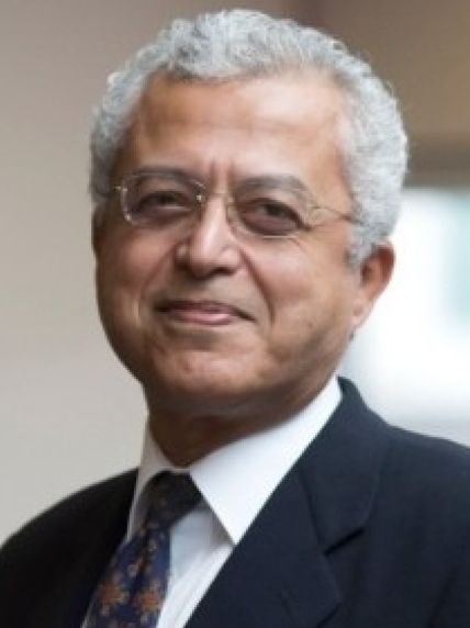 Professor Nagy Habib