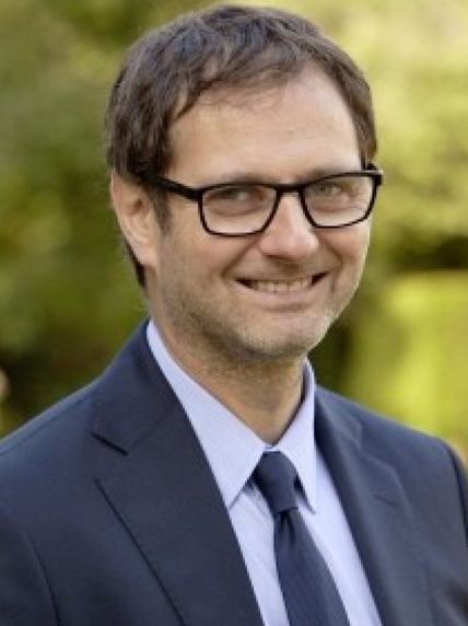 Professor Philippe Steg