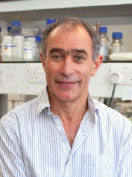 Professor Mike Levin