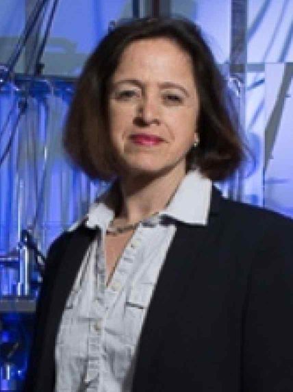 Prof Lesley Cohen