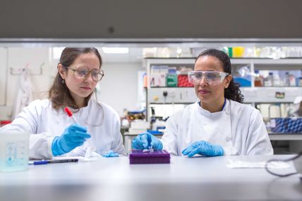 Two people analysing swabs in a lab