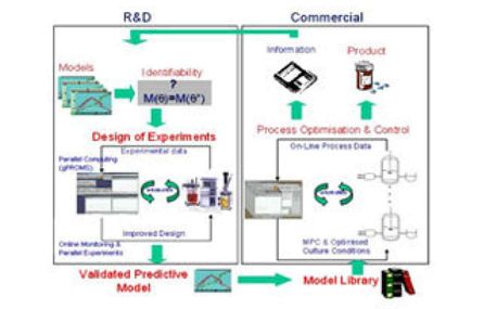 Flow diagram of mammalian cell bioprocessing