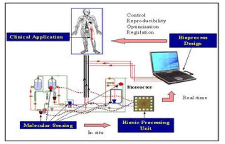 Flow diagram of stem cell bioprocessing