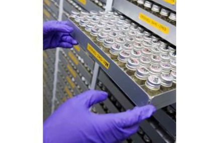 Imperial College Healthcare Trust Microbiology Laboratories