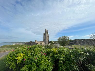 St Andrews - old building in distance