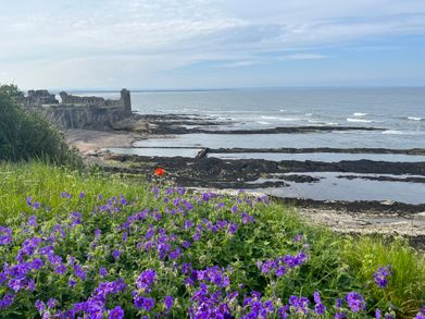 Sea view in St Andrews