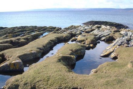 Section of coast with grassy banks, with still sea and blue sky