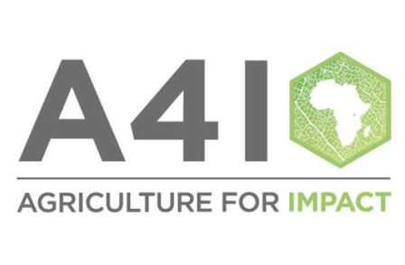 Agriculture for Impact logo