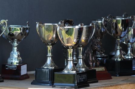 Trophies