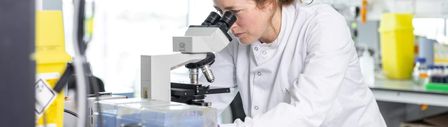 scientist on microscope