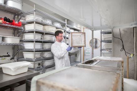 A researcher holds a box containing mosquitos, with more boxes on shelves in the background