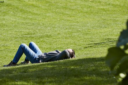 A man lying on grass  at a park