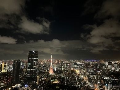 an image of Tokyo city skyline at night