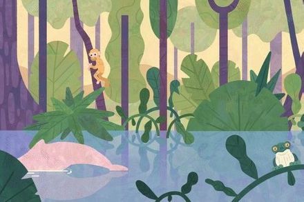 still from animation showing a rainforest scene by a river with a monkey, pink dolphin and other wildlife