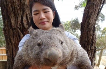 Mai Bui with a Koala
