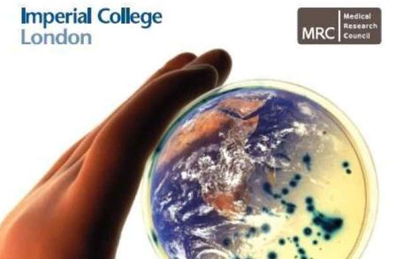 Front cover of the 2008 MRC Centre for Outbreak Analysis and Modelling Annual Report