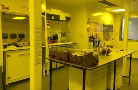 Cleanroom wet lab