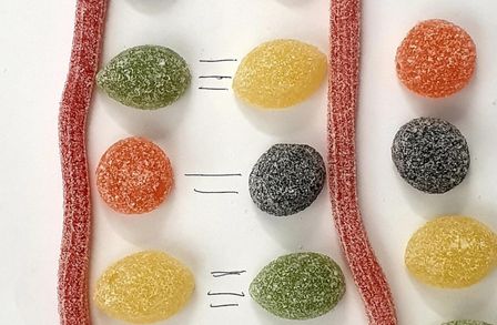 Art in science jelly tots explaining structure of DNA